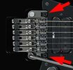 FloydRose.jpg