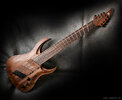 ran-guitars-crusher-FF8-01.jpg