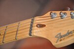 strat_plus-6.jpg