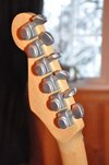 strat_plus-3.jpg