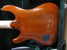 ibanez-sc-clasic-foto-bild-53891329.jpg