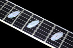 Caparison-TAT-Frozen-Sky.jpg