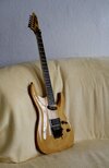 ESP Horizon Natural Custom Shop (1).jpg