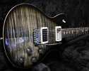 PRS%20Tremonti%20Carcoal%201.jpg