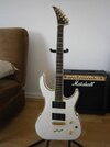 peavey_v-type_2000er.JPG