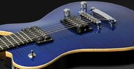 Panthera Custom, 7-String.jpg