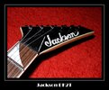 Jackson-009-1.jpg