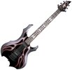 ESP LTD.jpg