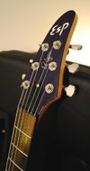 Headstock web.jpg