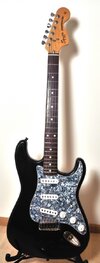 comp_-029-Squier Strat 1.jpg