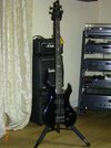 ESP LTD Tom Araya Signature TA200 01.jpg