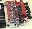 Washburn HM-5V Tremolo.jpg