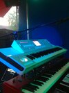 korg m3+ns2.jpg