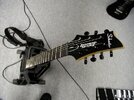 flar-schecter-01.jpg