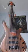 Fretless1.JPG