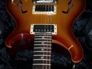 PRS Hollowbody (9).jpg