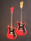 Hagstrom_partners_in_life_fullfront_webb.jpg