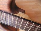 Warmoth_OAP_05.jpg