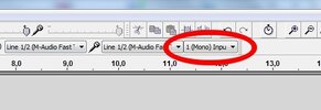 Audacity Mono.jpg