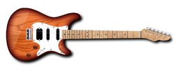 Allrounder complete ver. 03 - Light Tobaco Burst.jpg