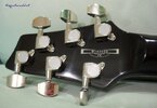 ibanez%u00252Bsz520fm%u00252Bheadstock%u00252Bflipside.JPG