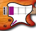 Allrounder Pickguard Vorlage Rotiert + E-Saiten und Pickups.jpg