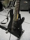 flar-schecter-02.jpg