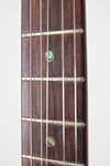 prs_ce_22_fret_.jpg