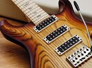 prs-swamp-det-630-80.jpg