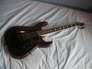 caparison003.jpg