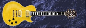 Les Paul Custom2.jpg