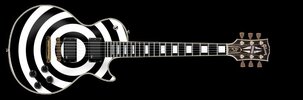 zakk_wylde_custom.jpg