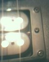 Humbucker.jpg