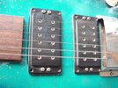 Schaller Pickups front small.jpg