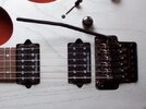 Ibanez RG Silver 011 klein.jpg