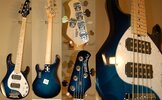 sr5_ HH Pacific Blue Burst-M-MH-Wppg 1.jpg