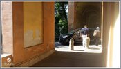 20170430_104107 stennes-falter Bologna Rosenkranzweg.jpg