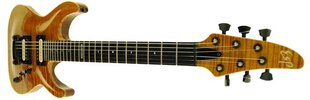 ESP Horizon Custom USA.jpg