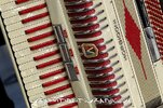 800px-Morbidoni_accordion_(details).jpg