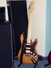 gitarre 00001.jpg