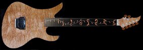 Siggi Braun_NATURAL,Inlay,Cutaway_v11.jpg