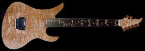 Siggi Braun_NATURAL,Inlay,Cutaway_v17.jpg