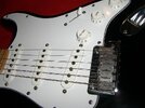 fender (2).JPG