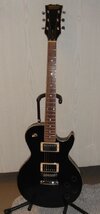 Hohner Arbor LP_1-800.jpg