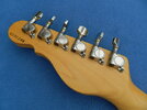 G&L Japan Tribute AC hinten.jpg