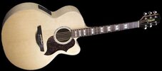 Takamine-EG-523-SC-Jumbo-x.jpg