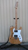 Squier Vintage Modified Telecaster Thinline 72.jpg