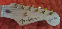 Warmoth Fender Stratocaster 09.2022 (3a).png