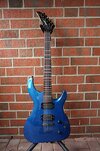 peavey blau.jpg