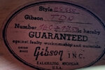 Gibson ES 335 - 3.jpg